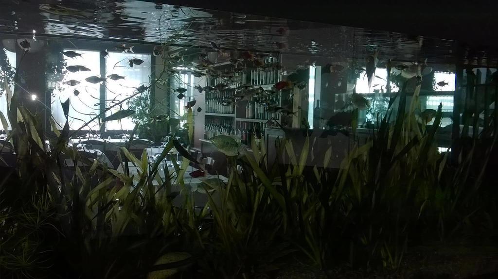 Locanda Ai Due Orsi ميلان الغرفة الصورة